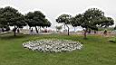 Lima 2